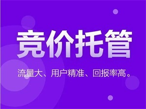 自学搜索引擎营销需要掌握哪些技能